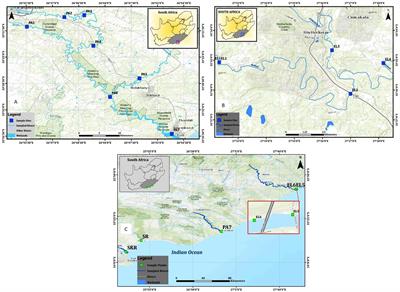 Molecular Detection and Distribution of Six Medically Important Vibrio spp. in Selected Freshwater and Brackish Water Resources in Eastern Cape Province, South Africa